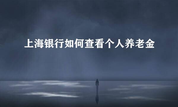 上海银行如何查看个人养老金