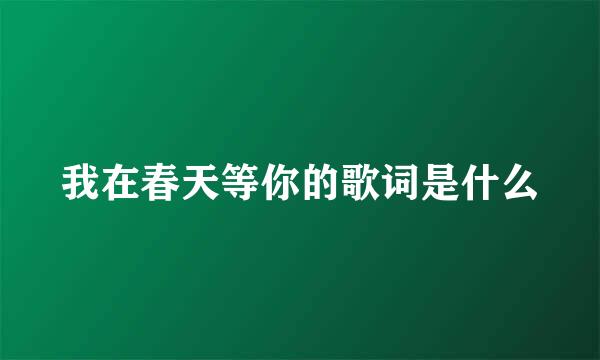 我在春天等你的歌词是什么
