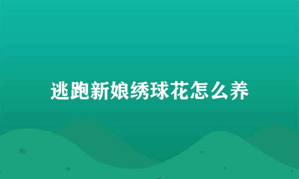 逃跑新娘绣球花怎么养