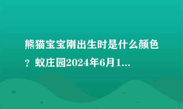 熊猫宝宝刚出生时是什么颜色？蚁庄园2024年6月14日问题