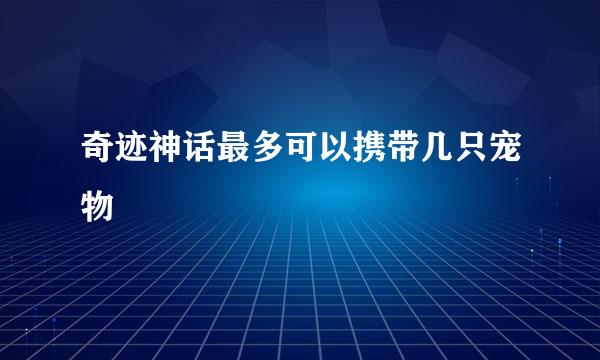 奇迹神话最多可以携带几只宠物