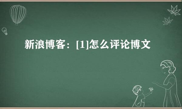 新浪博客：[1]怎么评论博文