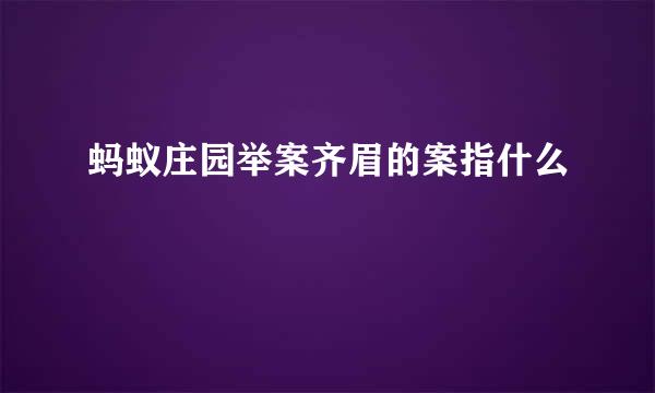 蚂蚁庄园举案齐眉的案指什么
