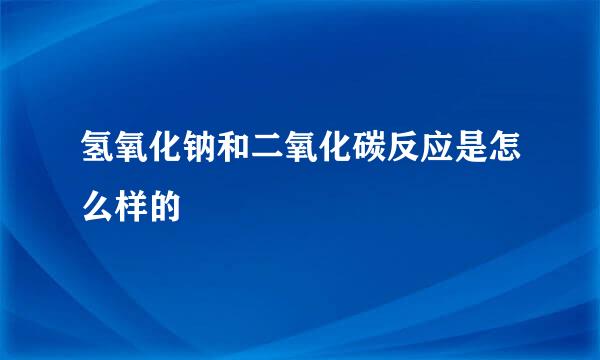 氢氧化钠和二氧化碳反应是怎么样的
