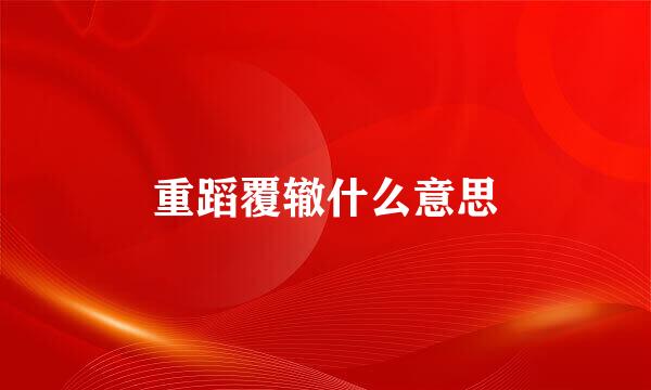 重蹈覆辙什么意思