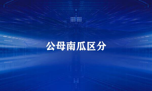 公母南瓜区分