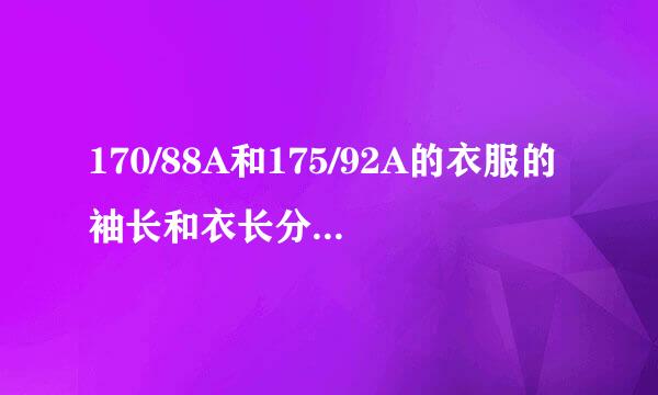 170/88A和175/92A的衣服的袖长和衣长分别相差多少
