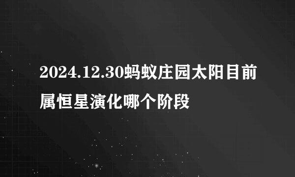 2024.12.30蚂蚁庄园太阳目前属恒星演化哪个阶段