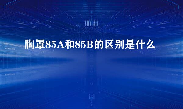 胸罩85A和85B的区别是什么
