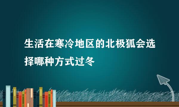生活在寒冷地区的北极狐会选择哪种方式过冬