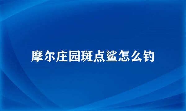 摩尔庄园斑点鲨怎么钓