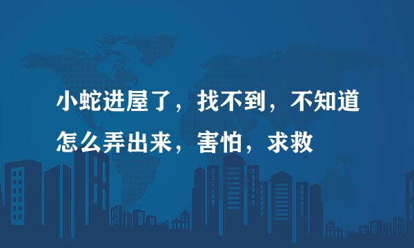 小蛇进屋了，找不到，不知道怎么弄出来，害怕，求救