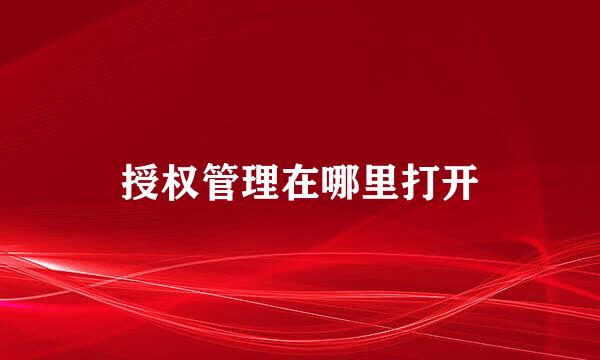 授权管理在哪里打开