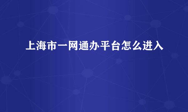 上海市一网通办平台怎么进入