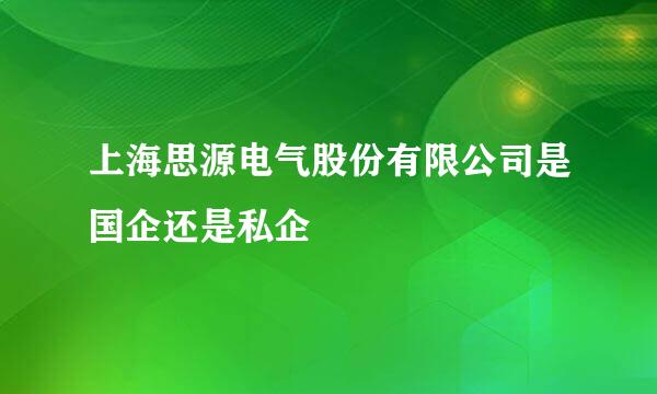 上海思源电气股份有限公司是国企还是私企