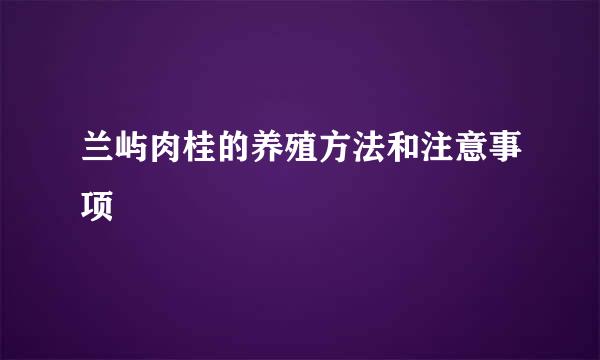 兰屿肉桂的养殖方法和注意事项