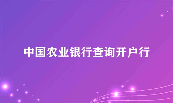 中国农业银行查询开户行