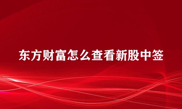 东方财富怎么查看新股中签
