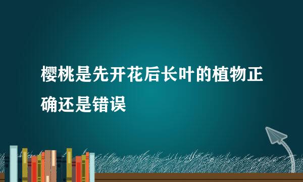 樱桃是先开花后长叶的植物正确还是错误