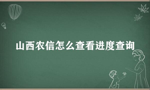 山西农信怎么查看进度查询