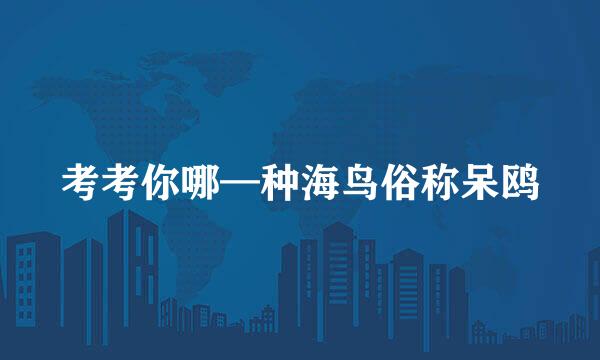 考考你哪—种海鸟俗称呆鸥