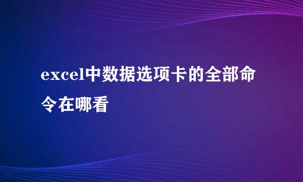 excel中数据选项卡的全部命令在哪看