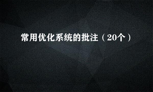 常用优化系统的批注（20个）
