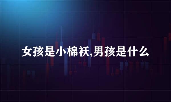 女孩是小棉袄,男孩是什么