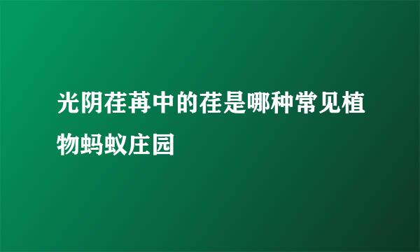 光阴荏苒中的荏是哪种常见植物蚂蚁庄园
