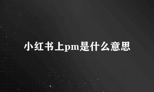 小红书上pm是什么意思