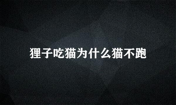 狸子吃猫为什么猫不跑