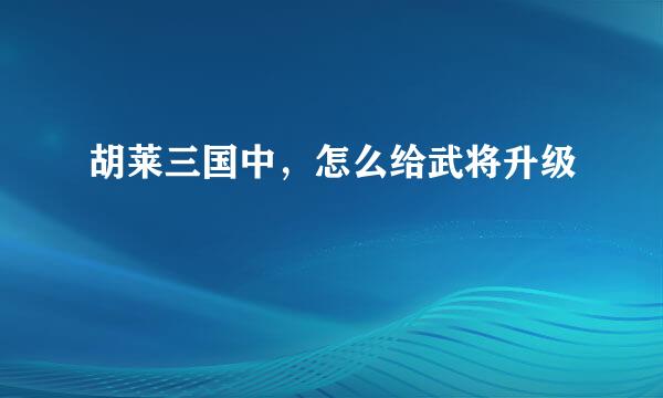 胡莱三国中，怎么给武将升级