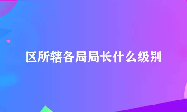 区所辖各局局长什么级别