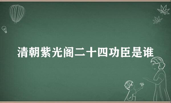 清朝紫光阁二十四功臣是谁