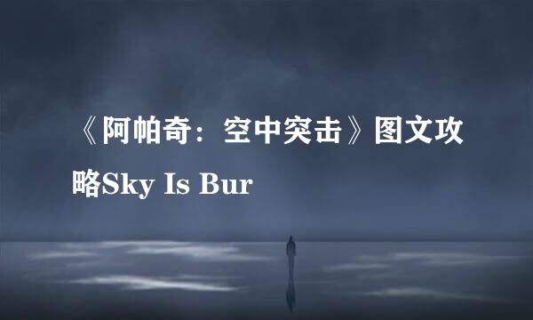 《阿帕奇：空中突击》图文攻略Sky Is Bur