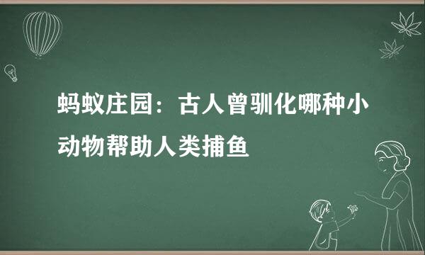 蚂蚁庄园：古人曾驯化哪种小动物帮助人类捕鱼