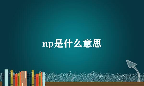 np是什么意思