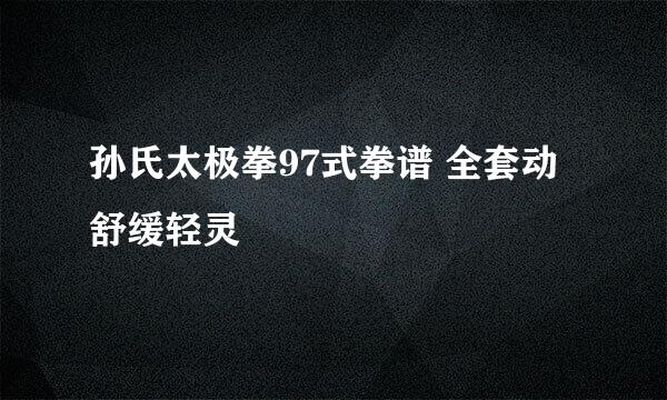 孙氏太极拳97式拳谱 全套动舒缓轻灵