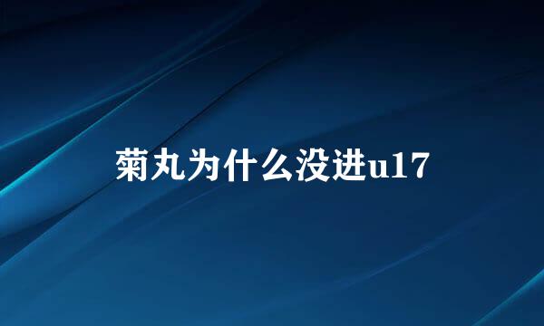 菊丸为什么没进u17