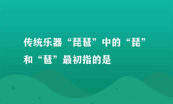 传统乐器“琵琶”中的“琵”和“琶”最初指的是