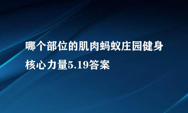 哪个部位的肌肉蚂蚁庄园健身核心力量5.19答案