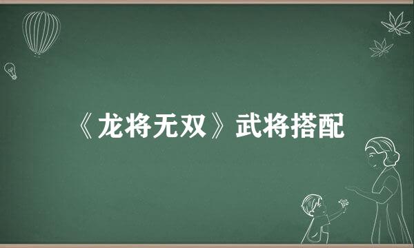 《龙将无双》武将搭配