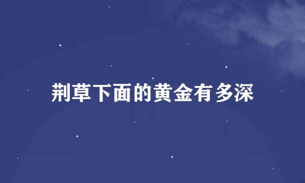 荆草下面的黄金有多深