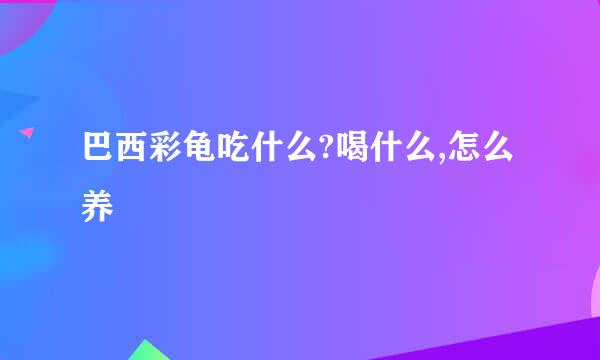 巴西彩龟吃什么?喝什么,怎么养