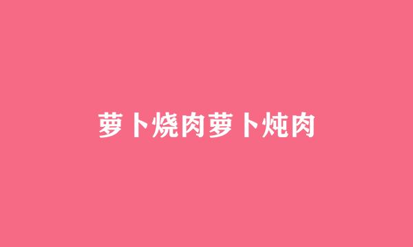 萝卜烧肉萝卜炖肉