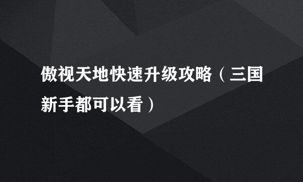 傲视天地快速升级攻略（三国新手都可以看）