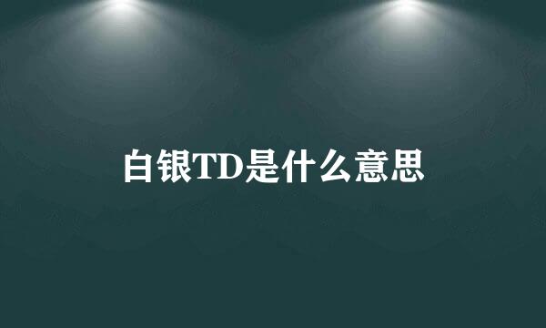 白银TD是什么意思