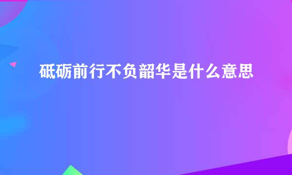 砥砺前行不负韶华是什么意思