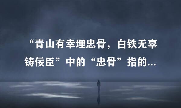 “青山有幸埋忠骨，白铁无辜铸佞臣”中的“忠骨”指的是什么？“佞臣”指的是什么