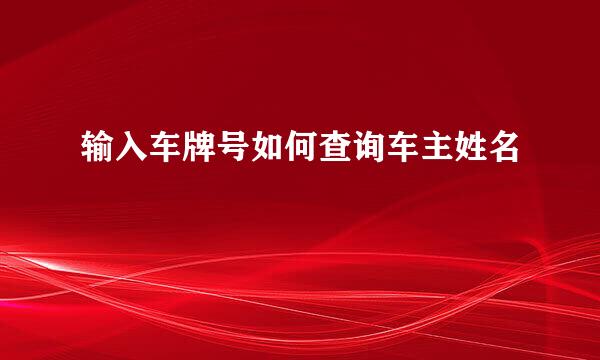 输入车牌号如何查询车主姓名